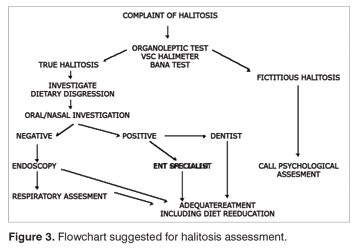 Flowchart suggested for halitosis assessment